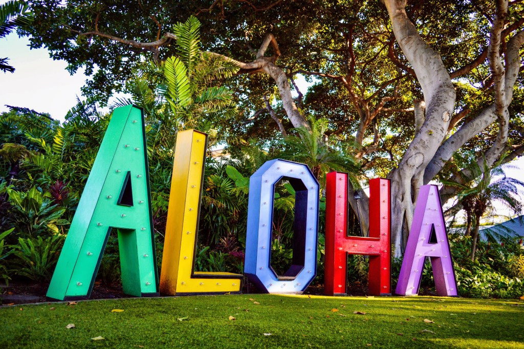Website Design and SEO Services Hawaii