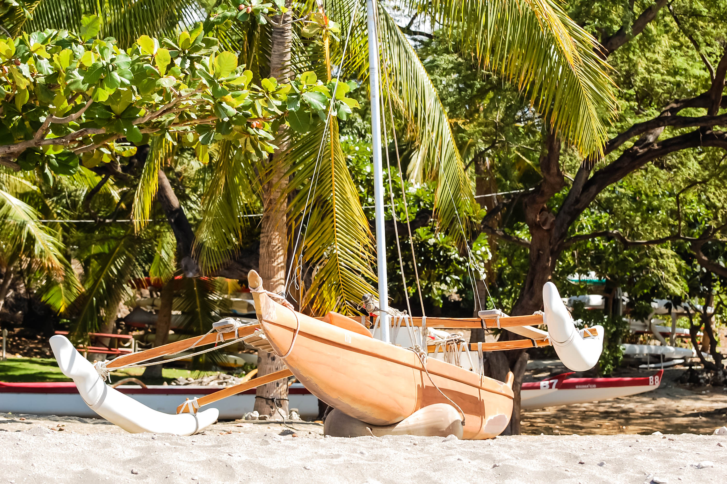 Website Design Kauai