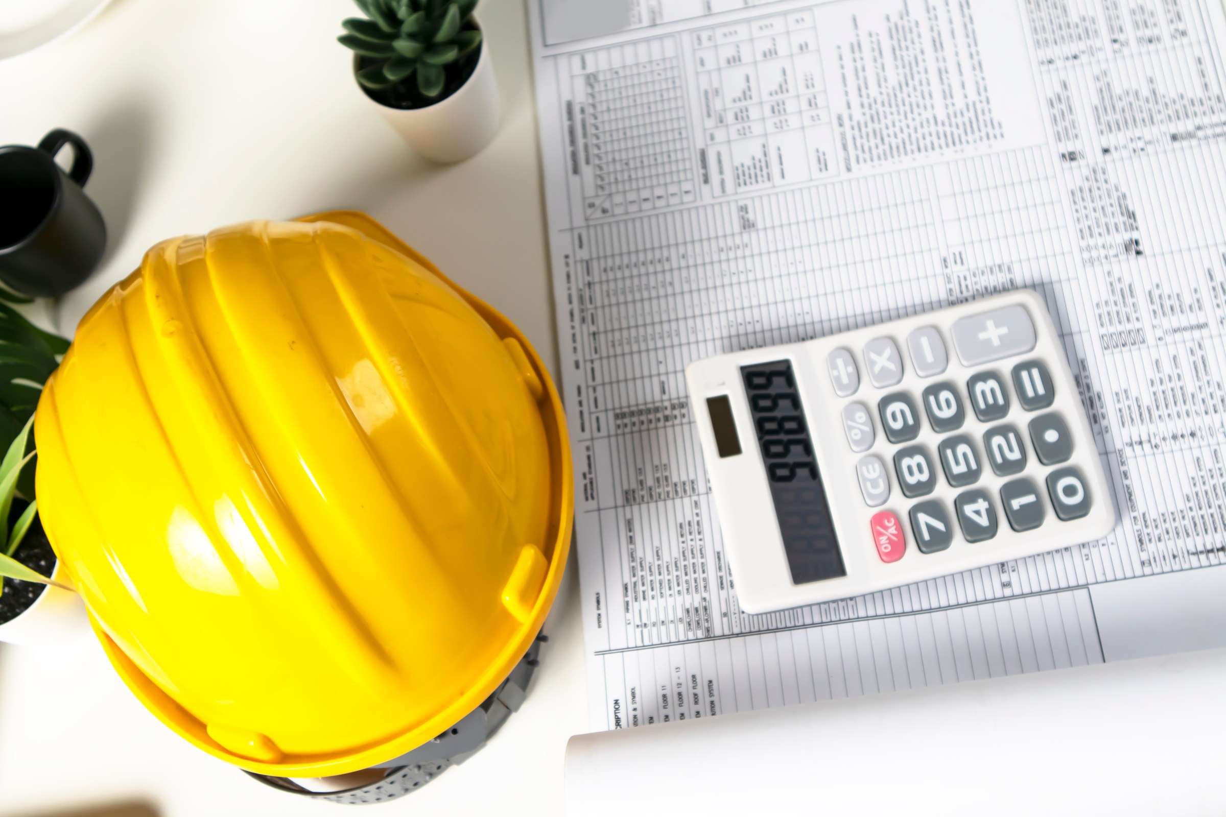 Aloha Mino'aka Hawaii Website Design Pricing