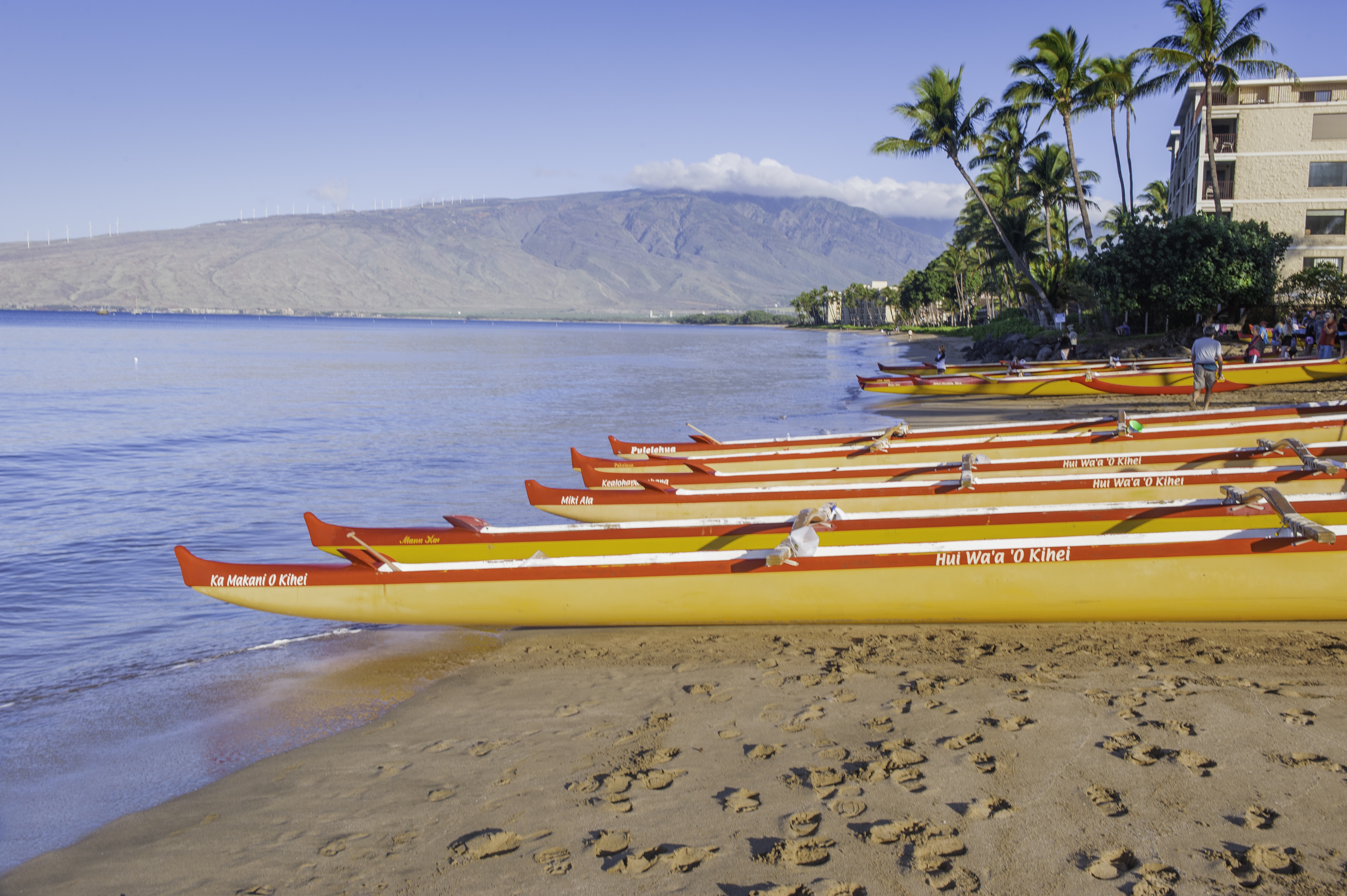 Hawaii Website Design Pricing