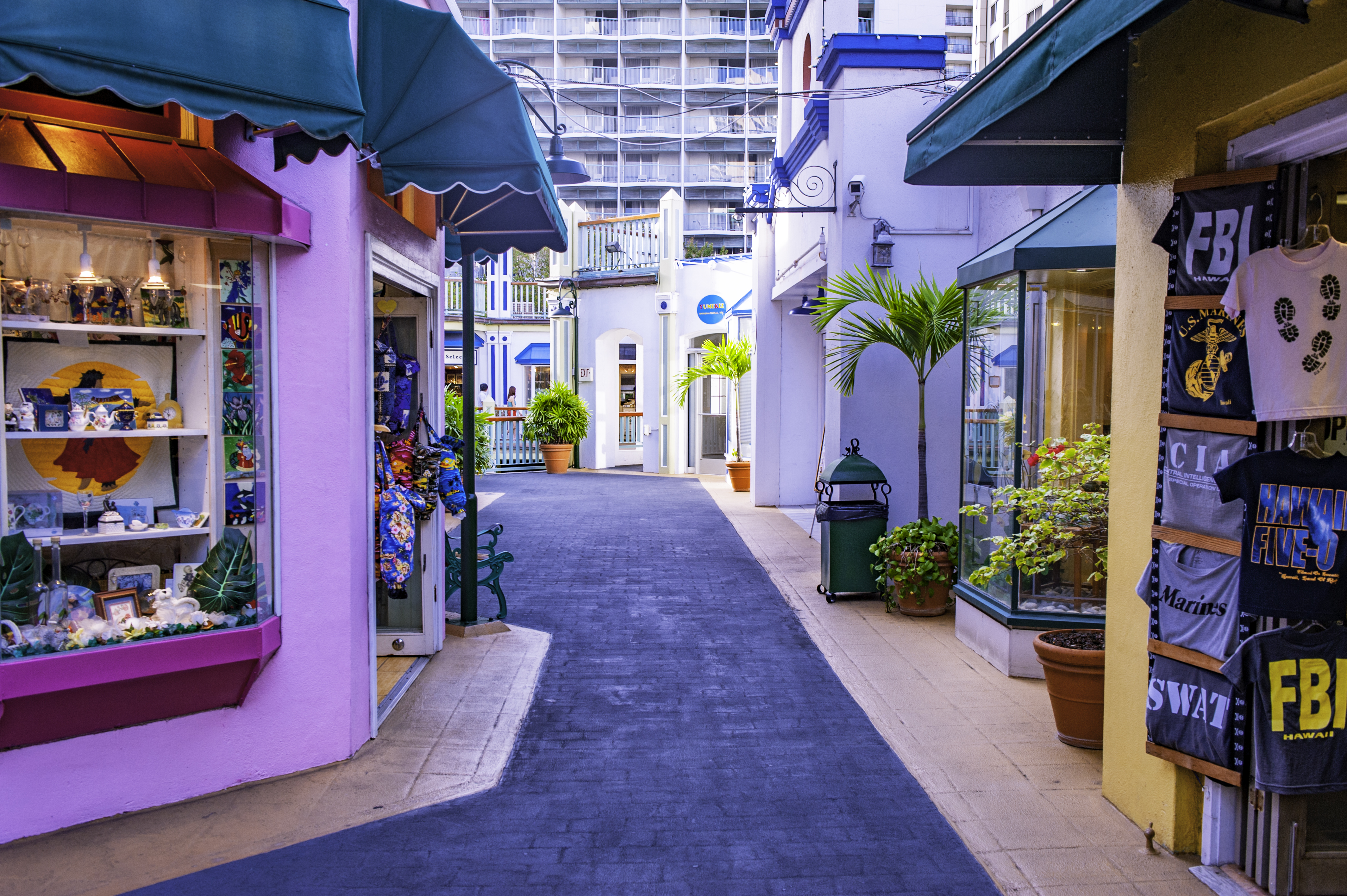 Hawaii Website Design Services