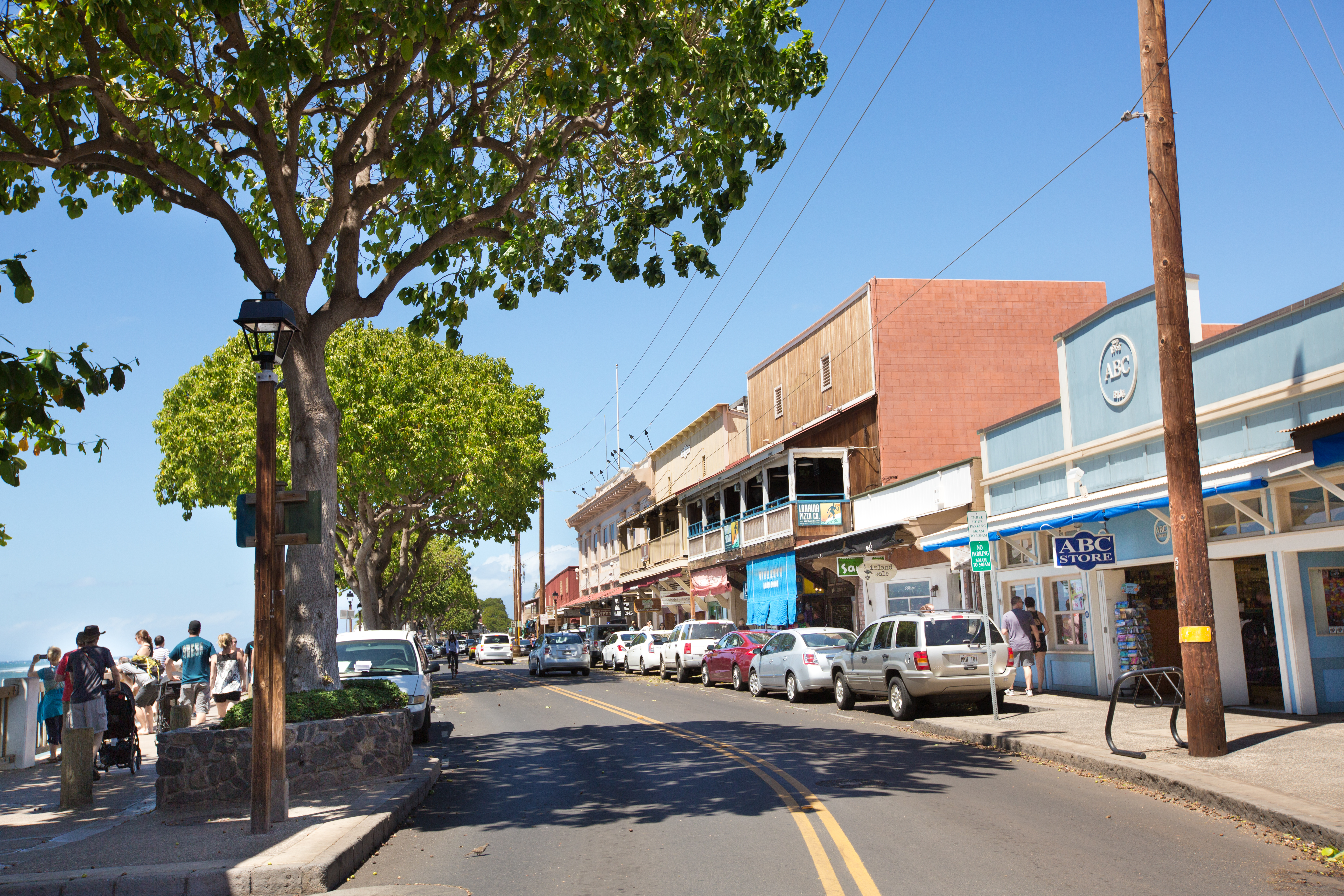 Maui Website Company