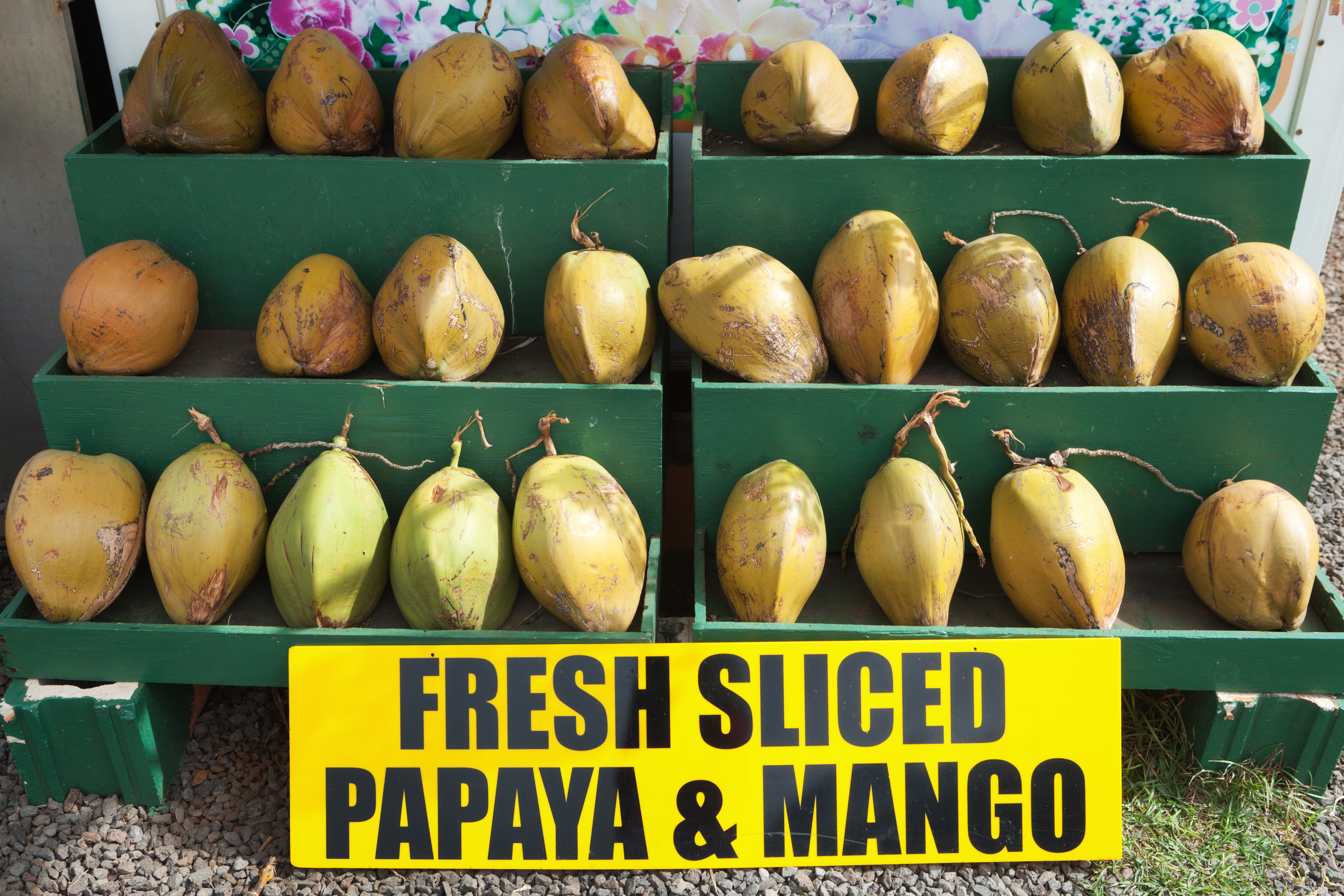 Website Design Services Oahu