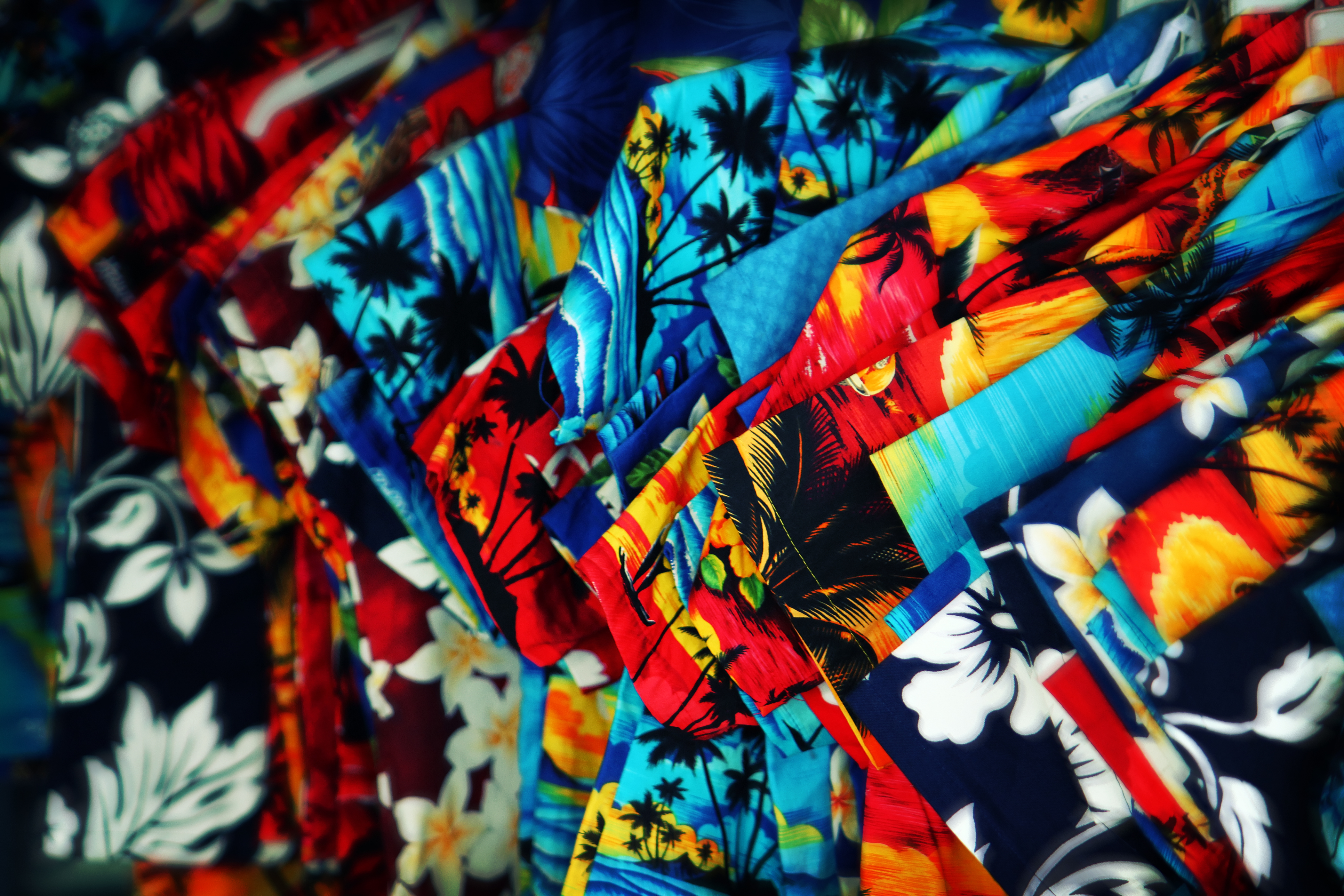 SEO Company in Hawaii